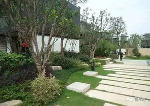 園林綠化工程施工技術(shù)規(guī)范大全 萬字長文