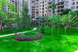 青?？诒脠@林綠化值得信賴